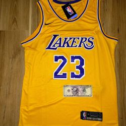 LeBron James Jersey (Lakers #23)