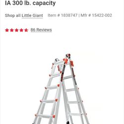 22' Little Giant Ladder 