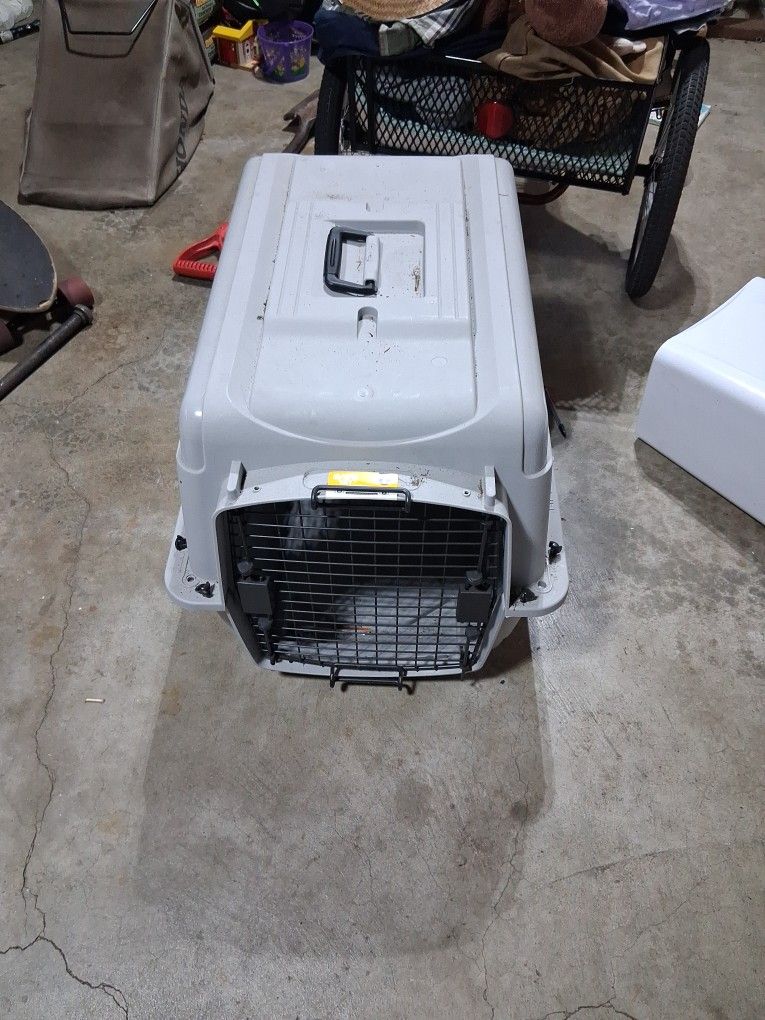 Pet Kennel