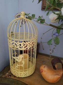 Bird cage decor