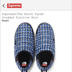 Supreme/North Face Traction Mule