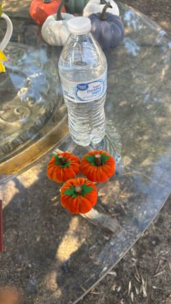 Pumpkin Decorations 