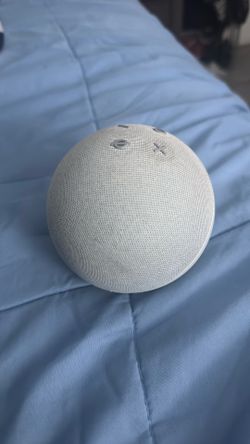 Amazon echo dot