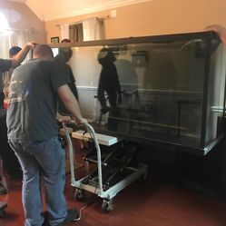 Selling Complete Saltwater Aquarium