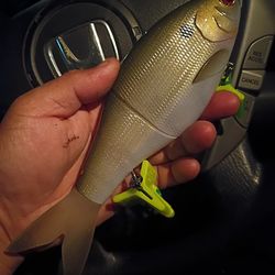 Toad Thumper Shad Glide Swimbait