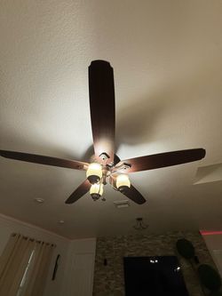 Ceiling fan