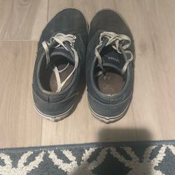 Vans Shoes 