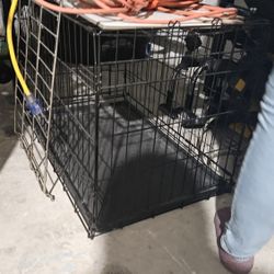 Dog Crate