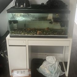 40 Gallon Aquarium
