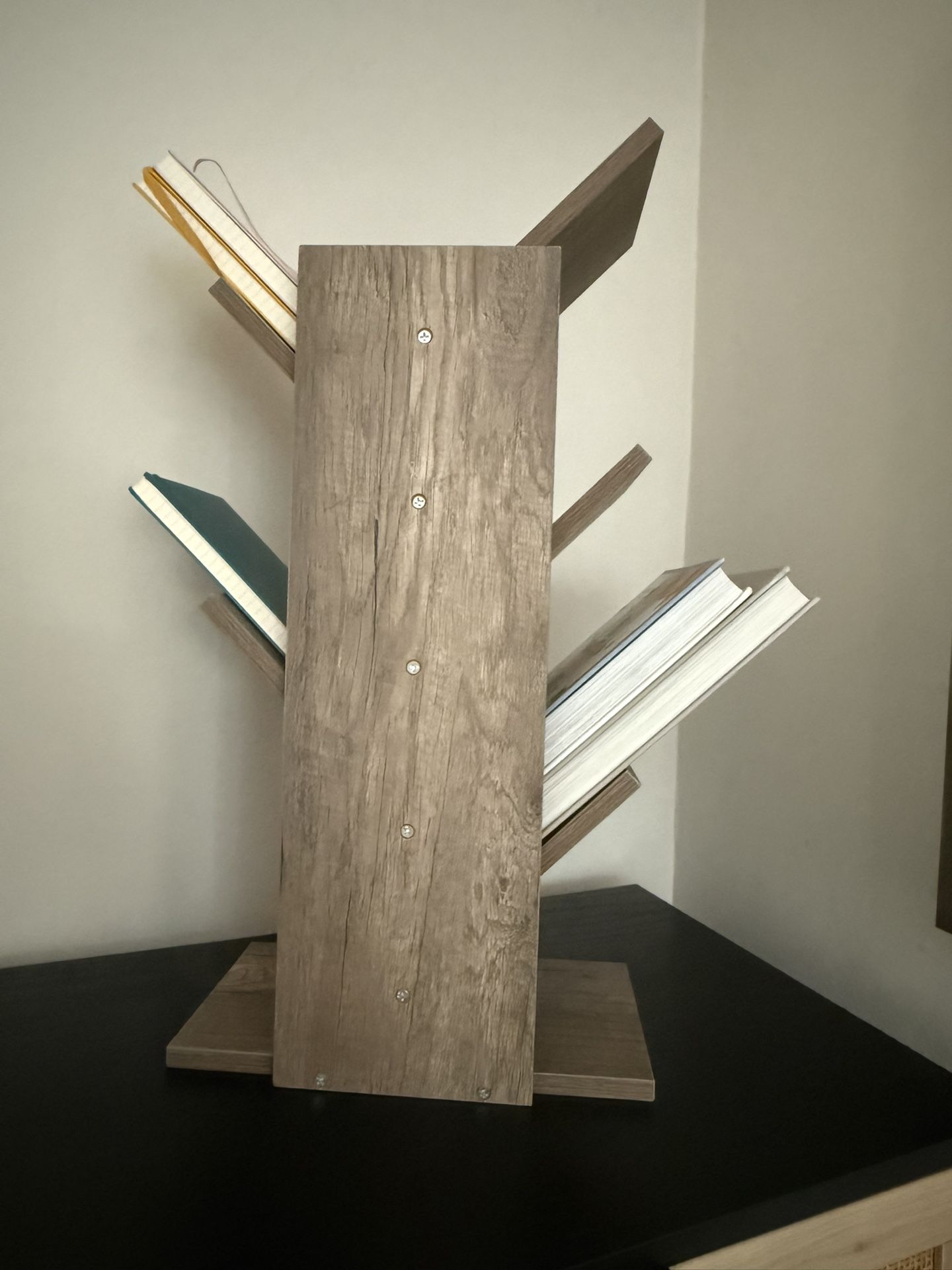 Countertop Book Organizer