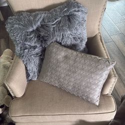 2 Couch Pillows