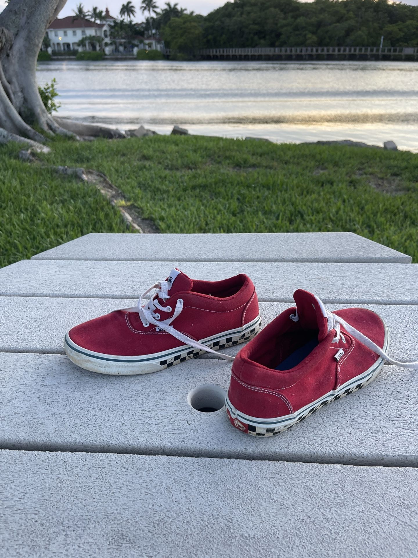 VANS Red Canvas Checkered Soles Sk-8 Low Top Skateboard Shoes