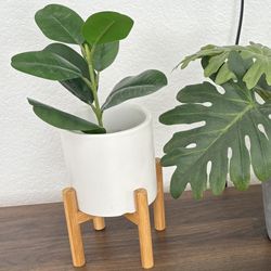 Faux Fake Tabletop Plants