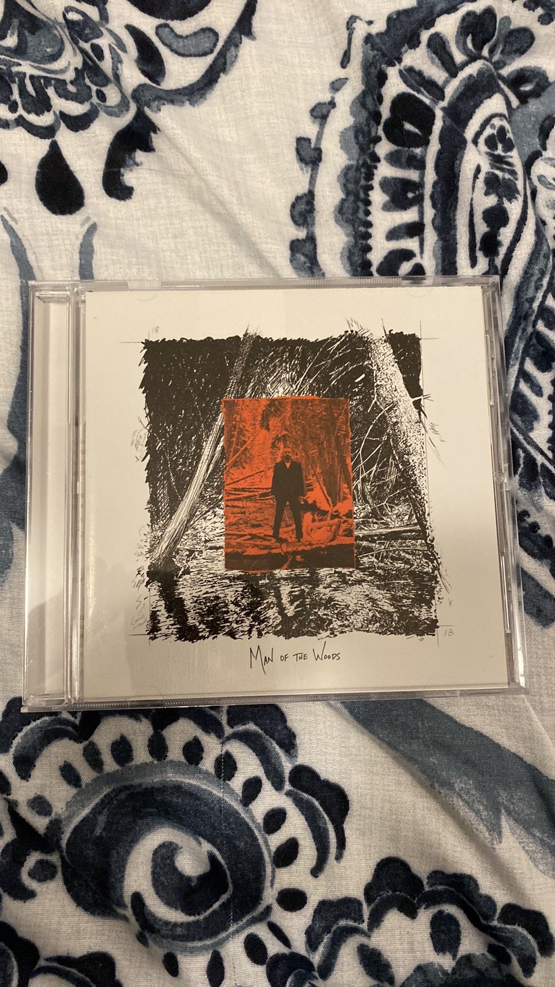 Man of the Woods CD
