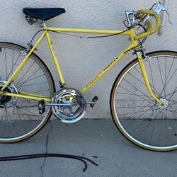 Vintage Schwinn Bike Varsity 1970s