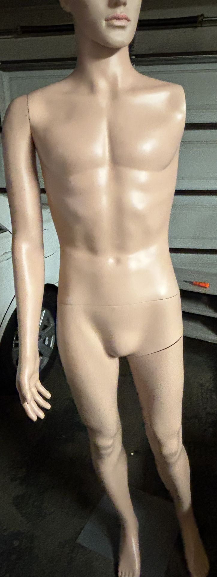Male Manikin