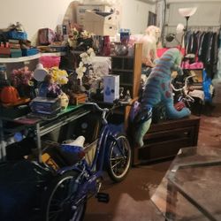 5920 W 75th Pl, Burbank, IL 60459 Garage Sale