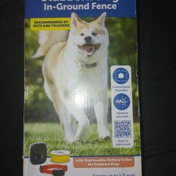 PetSafe stubborn dog in-ground fence 