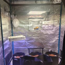 Grow Tent