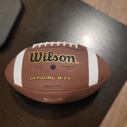 Wilson Football