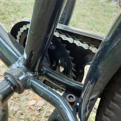 Genesis Onyx 29 Bicycle for Sale in Palm Harbor FL OfferUp
