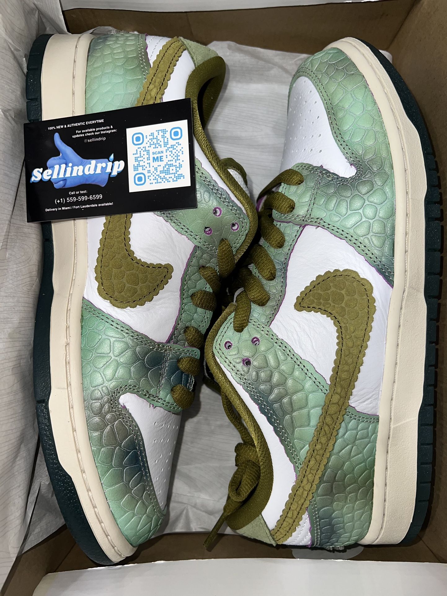 Nike Dunk Sb Chameleon Limited Edition New
