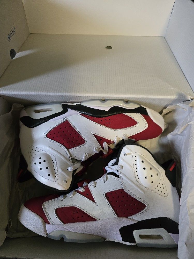 Jordan Carmine 6s (2021)