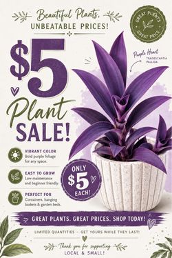 $5 plant sale