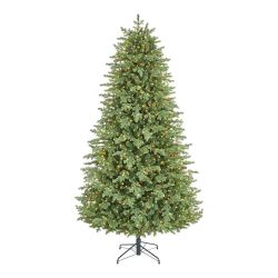 9 ft Montrose Douglas Fir LED Pre-Lit Christmas Tree — Retails $600, selling $350