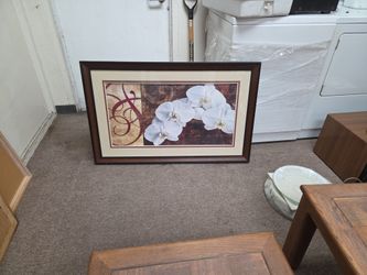Framed Art