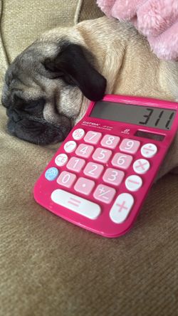 Pink Calculator 
