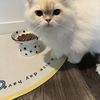 Lucy