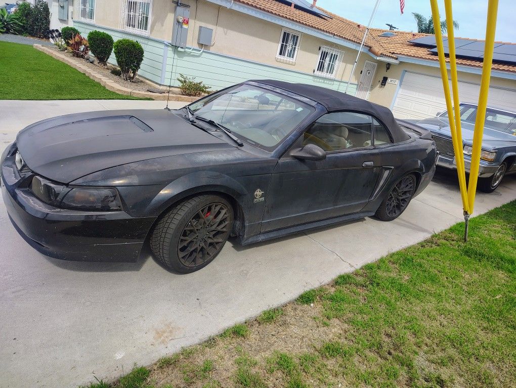 1999 Ford Mustang