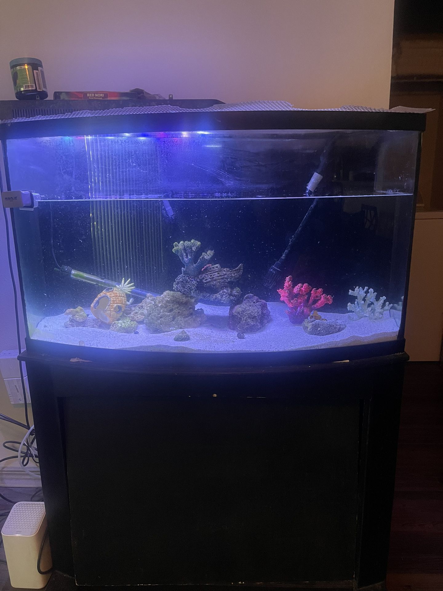 55 Gal Bowfront Fish Tank 
