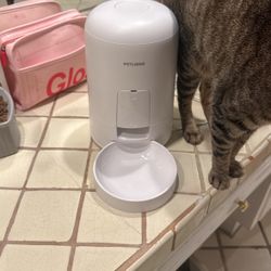 Automatic Cat Feeder