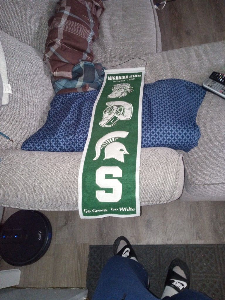 MSU Hanging Decoration