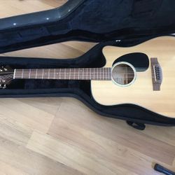 Takamine 12 String G Series