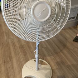 Fan