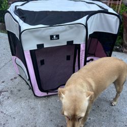 Portable Pet Play Pen 