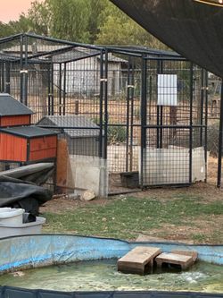 TSC producers pride predator cage