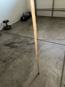 Walking/Hiking Stick