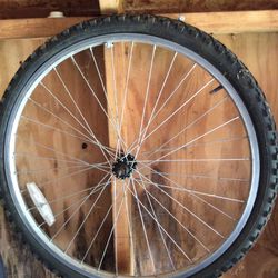 Bicycle Tire And Rim