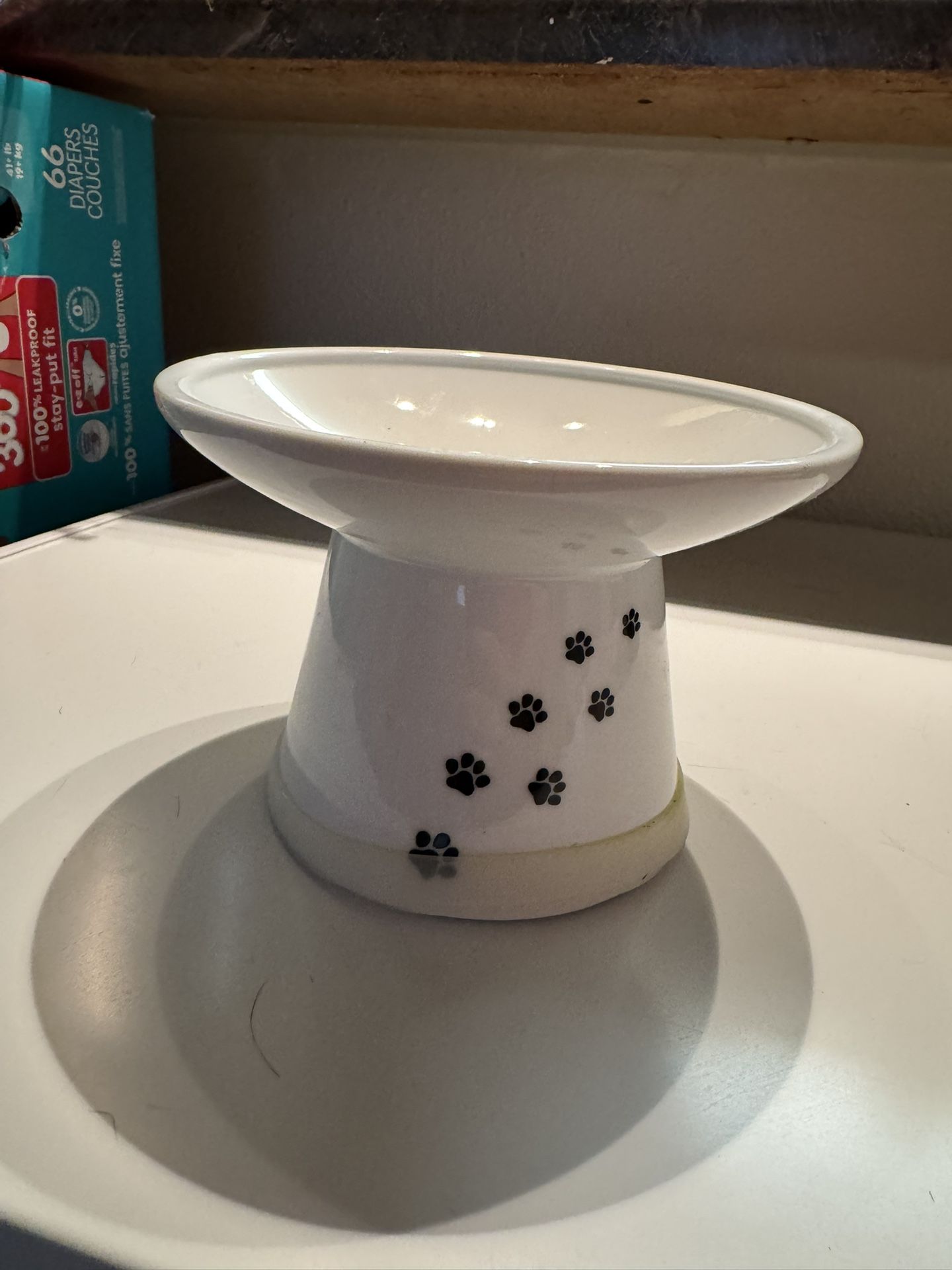 Cat Dish