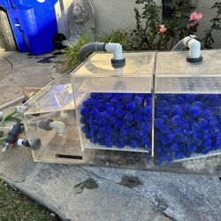 Xl Fish Tank Sump Filter