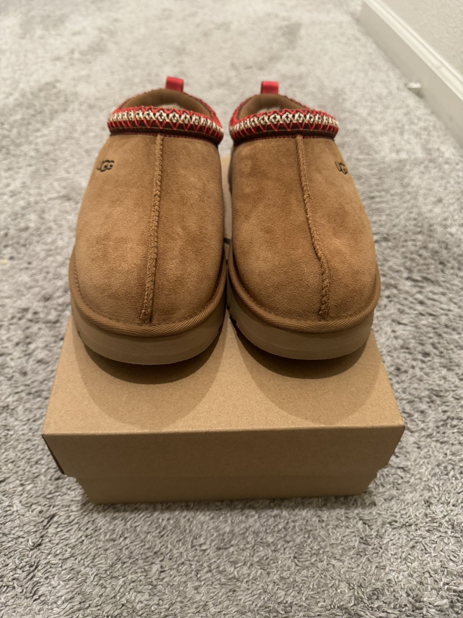 Tasman uggs