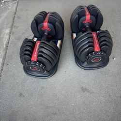Dumbbells Bowflex adjustable weights 5-52.5 