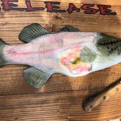 Fish mount