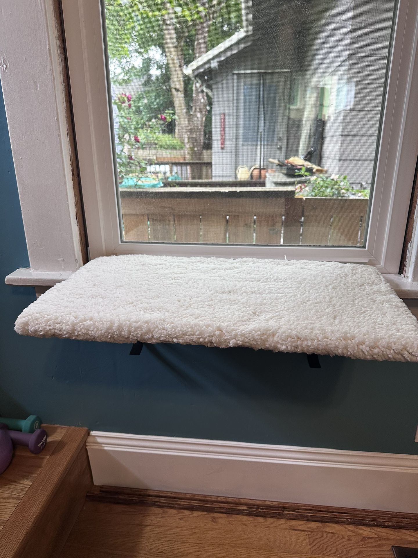 Cat Window Perch