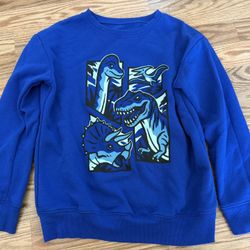 Boys Dinosaur Sweatshirt Size 8
