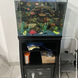 40 Gallon Aquarium with Glo fish